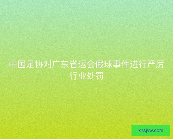 中国足协对广东省运会假球事件进行严厉行业处罚