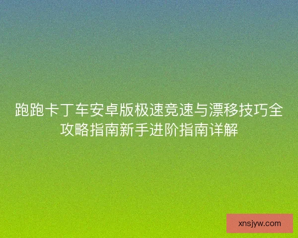 跑跑卡丁车安卓版极速竞速与漂移技巧全攻略指南新手进阶指南详解