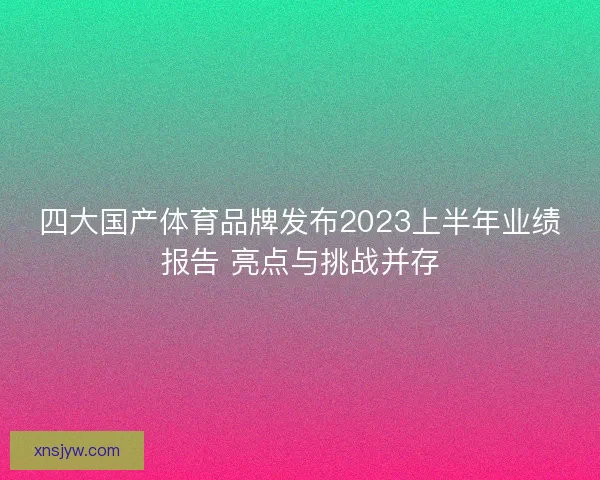 四大国产体育品牌发布2023上半年业绩报告 亮点与挑战并存